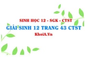 Giải Sinh 12 trang 43 Chân trời Sáng tạo